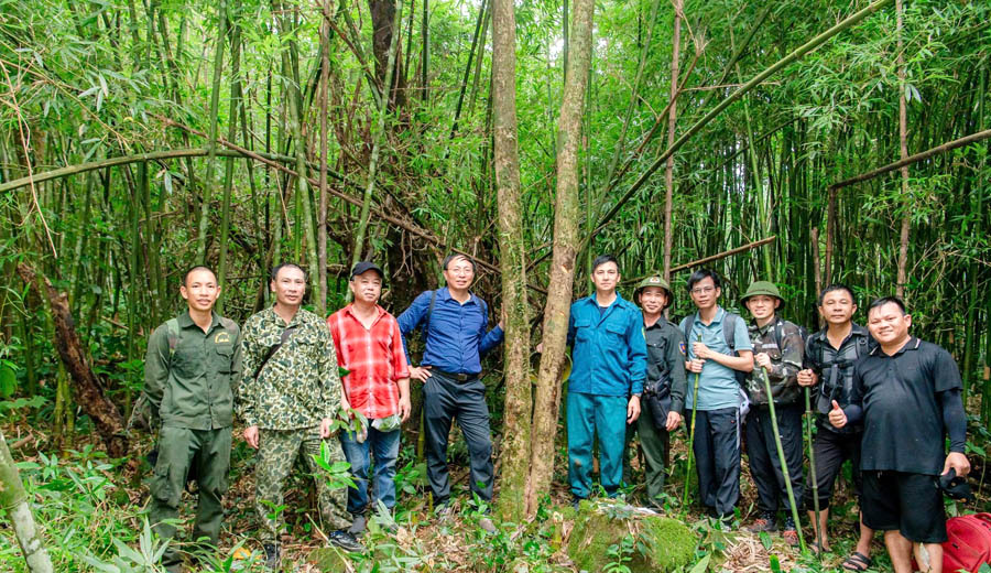 X&acirc;y[-]dựng[-]&ldquo;V&ugrave;ng[-]ch&egrave;[-]di[-]sản&rdquo;[-]gắn[-]với[-]truyền[-]thống[-]của[-]Đường[-]Hoa